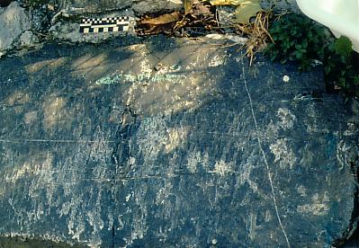 Petroglifo dell'Osteria delle Baracche